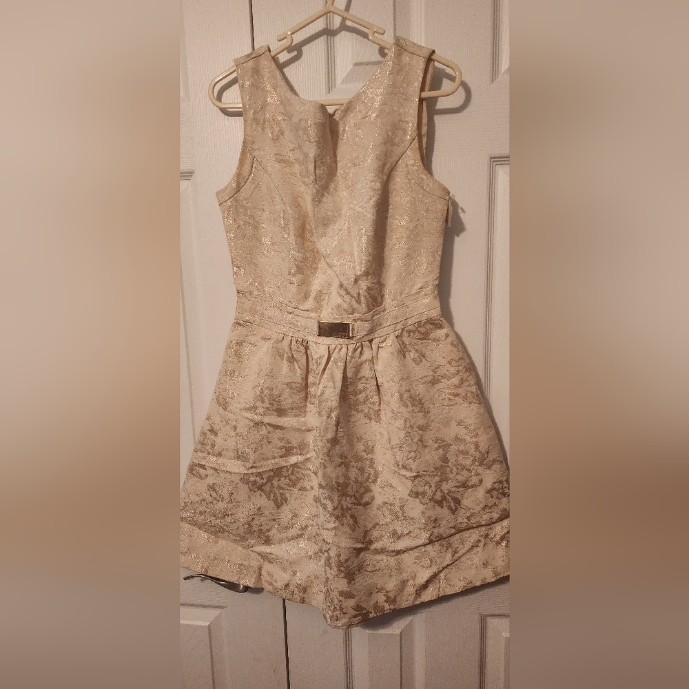 JLO dress